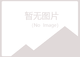 阳江字迹化学有限公司